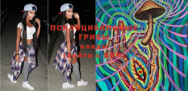 ГАЛЛЮЦИНОГЕННЫЕ ГРИБЫ Гусев