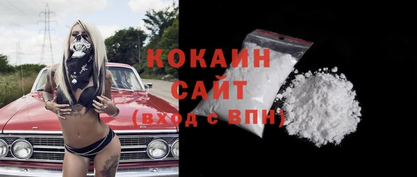 ГАЛЛЮЦИНОГЕННЫЕ ГРИБЫ Гусев