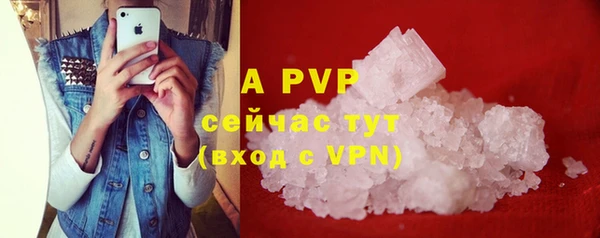 ГАЛЛЮЦИНОГЕННЫЕ ГРИБЫ Гусев