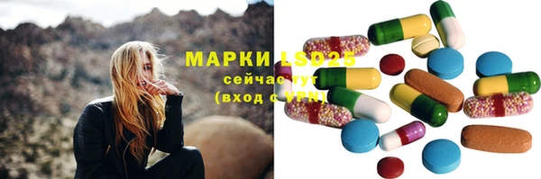 ГАЛЛЮЦИНОГЕННЫЕ ГРИБЫ Гусев