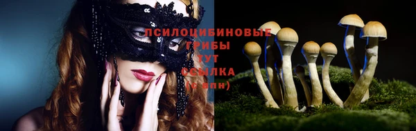 jwh Вуктыл