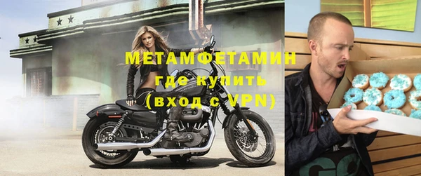 ГАЛЛЮЦИНОГЕННЫЕ ГРИБЫ Гусев