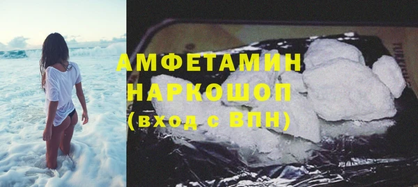 ГАЛЛЮЦИНОГЕННЫЕ ГРИБЫ Гусев