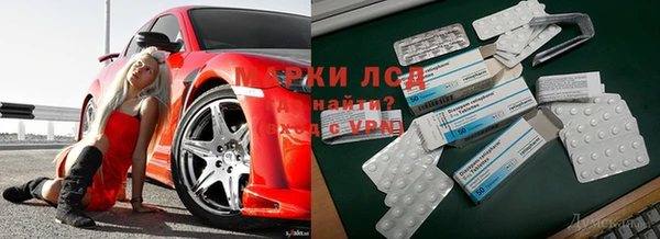 ГАЛЛЮЦИНОГЕННЫЕ ГРИБЫ Гусев