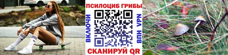 mega рабочий сайт  наркошоп  Донецк  Галлюциногенные грибы Psilocybe 